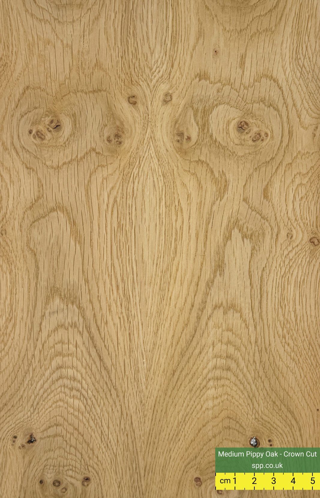 Pippy Oak Veneered Birch Plywood Panels