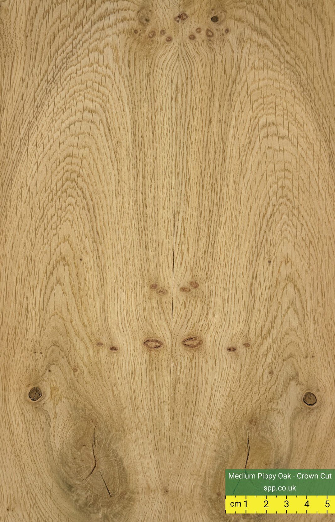 Pippy Character Rustic Oak Veneered Birch Plywood Panels