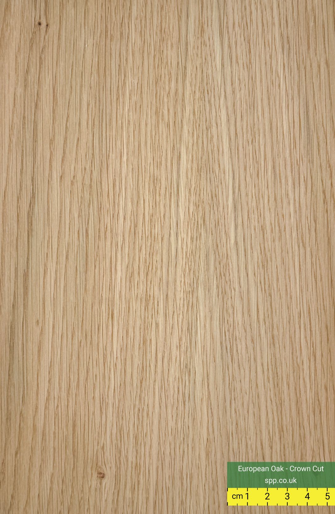 Crown cut European Oak close up