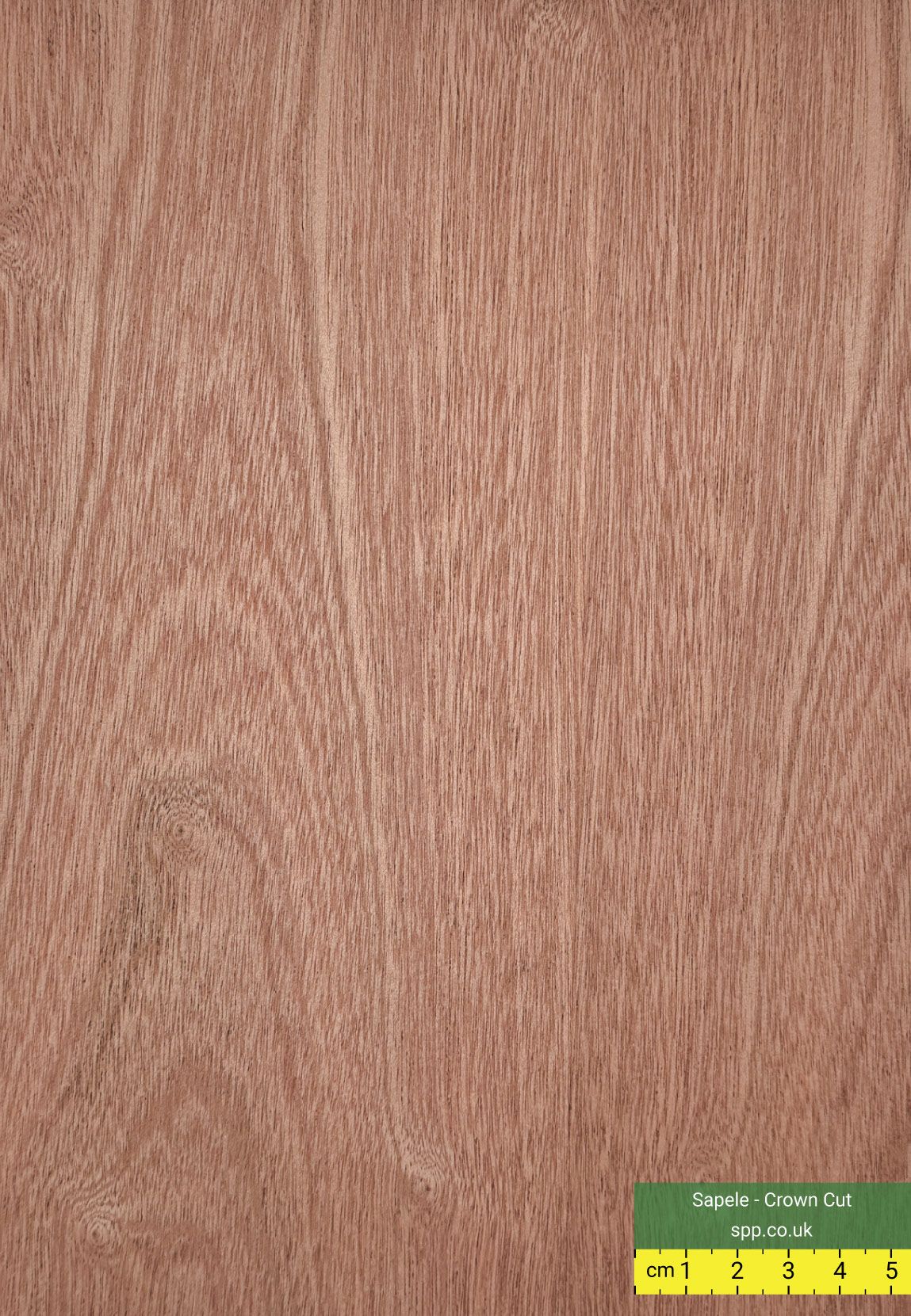 Sapele faced plywood 2440 x 1220