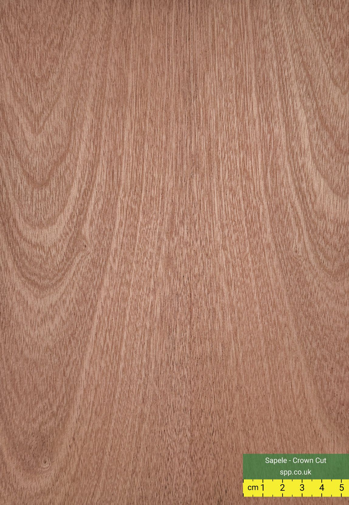 Sapele veneered plywood 8x4 18mm