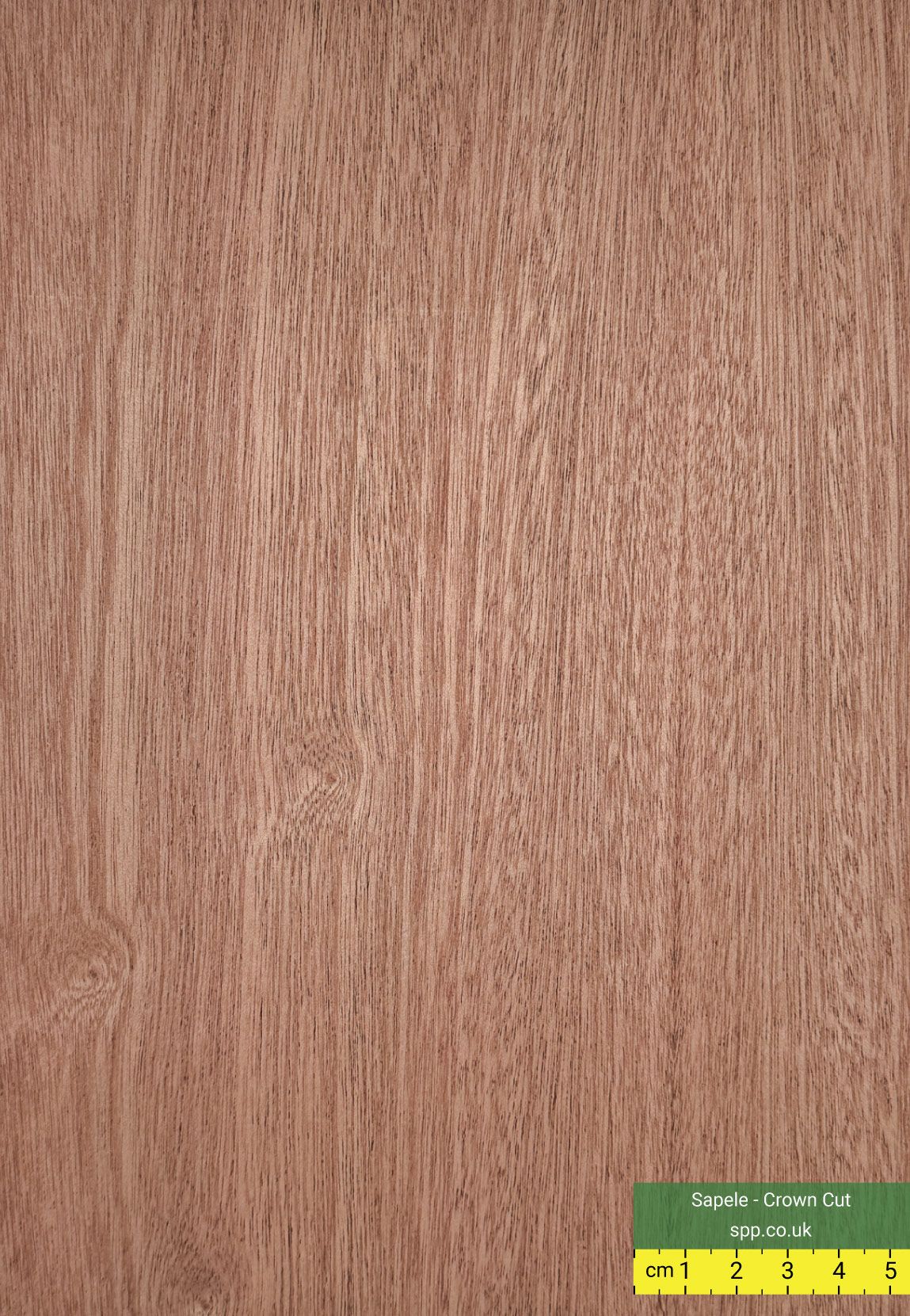 Sapele Faced Plywood
