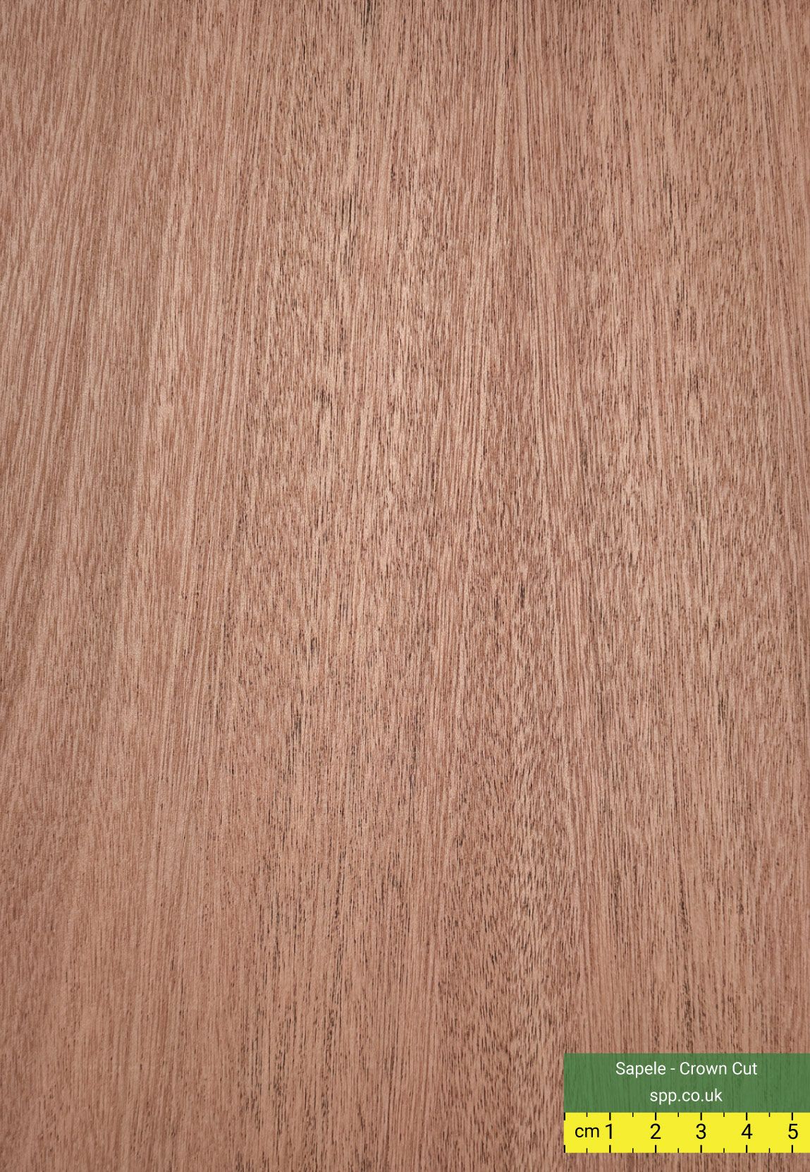 Sapele veneered panels