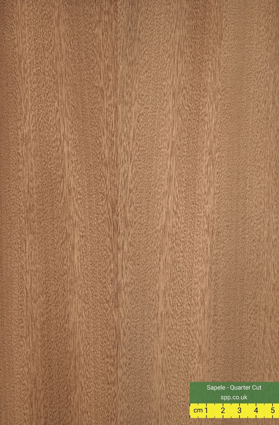 Sapele Quarter Cut Veneered Plywood Panels