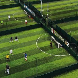 Sports rebound panels - birch plywood