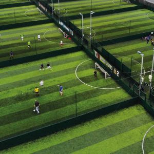 Sports rebound panels - birch plywood