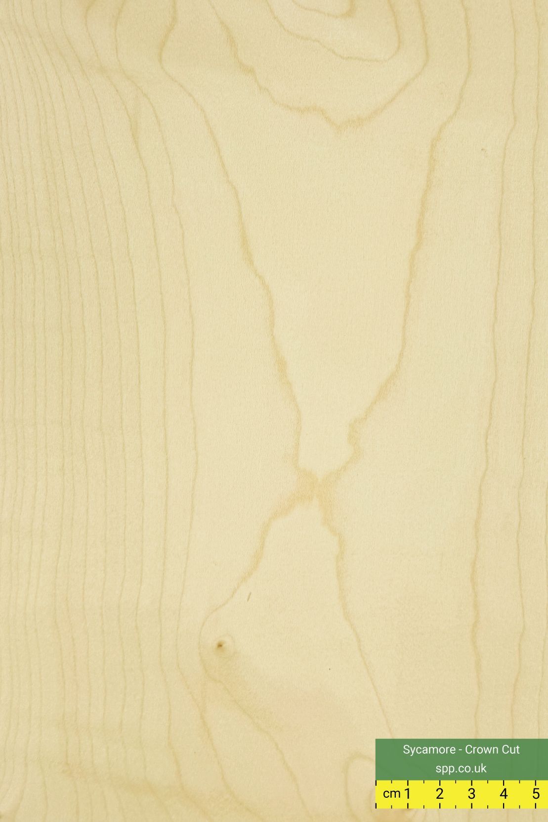 Sycamore veneers on plywood