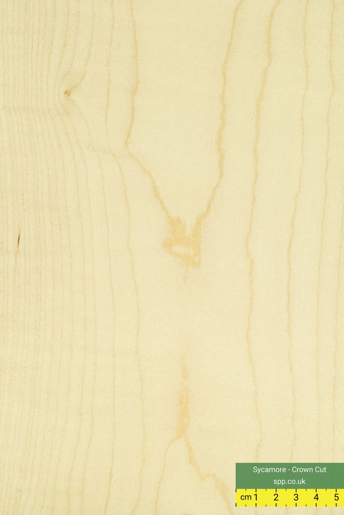 Sycamore MDF
