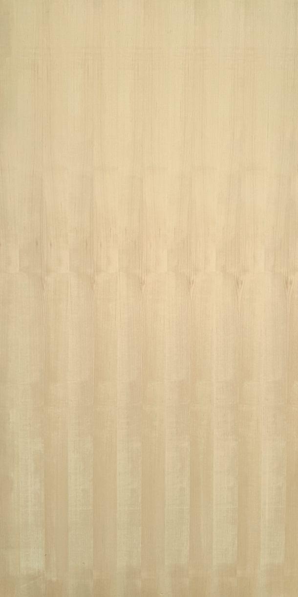 Sycamore on plywood