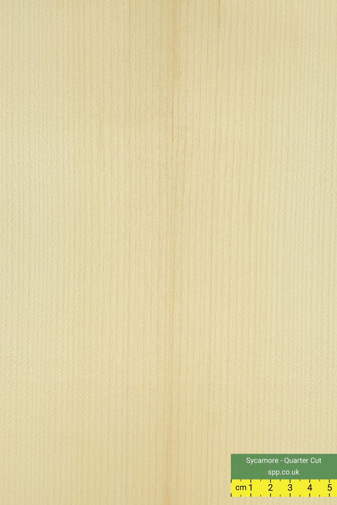 Sycamore plywood
