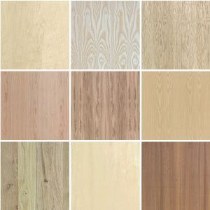 Veneered plywood panels