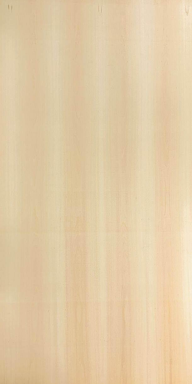 White Beech veneered plywood 18mm