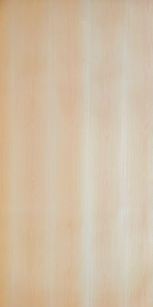 White Beech veneered plywood