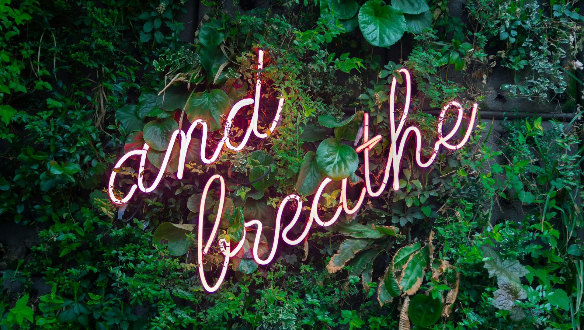 Neon sign reads