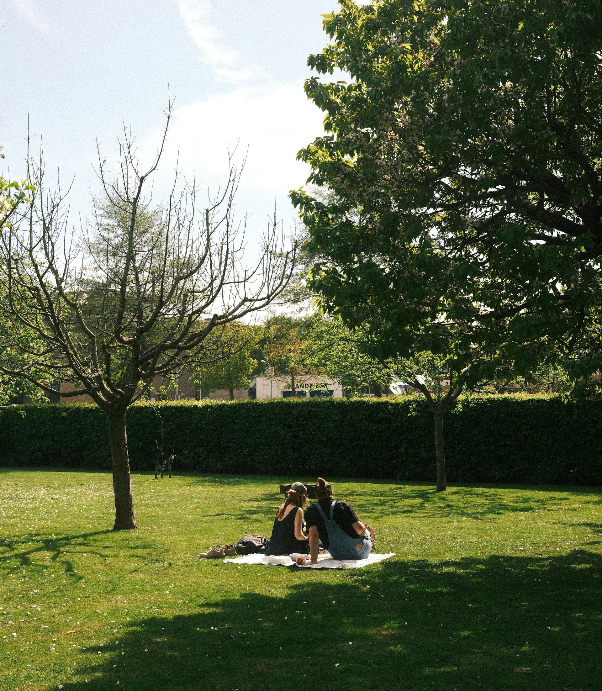 Two people seated on a blanket in a park, enjoying a sunny day. Green grass and trees surround them.