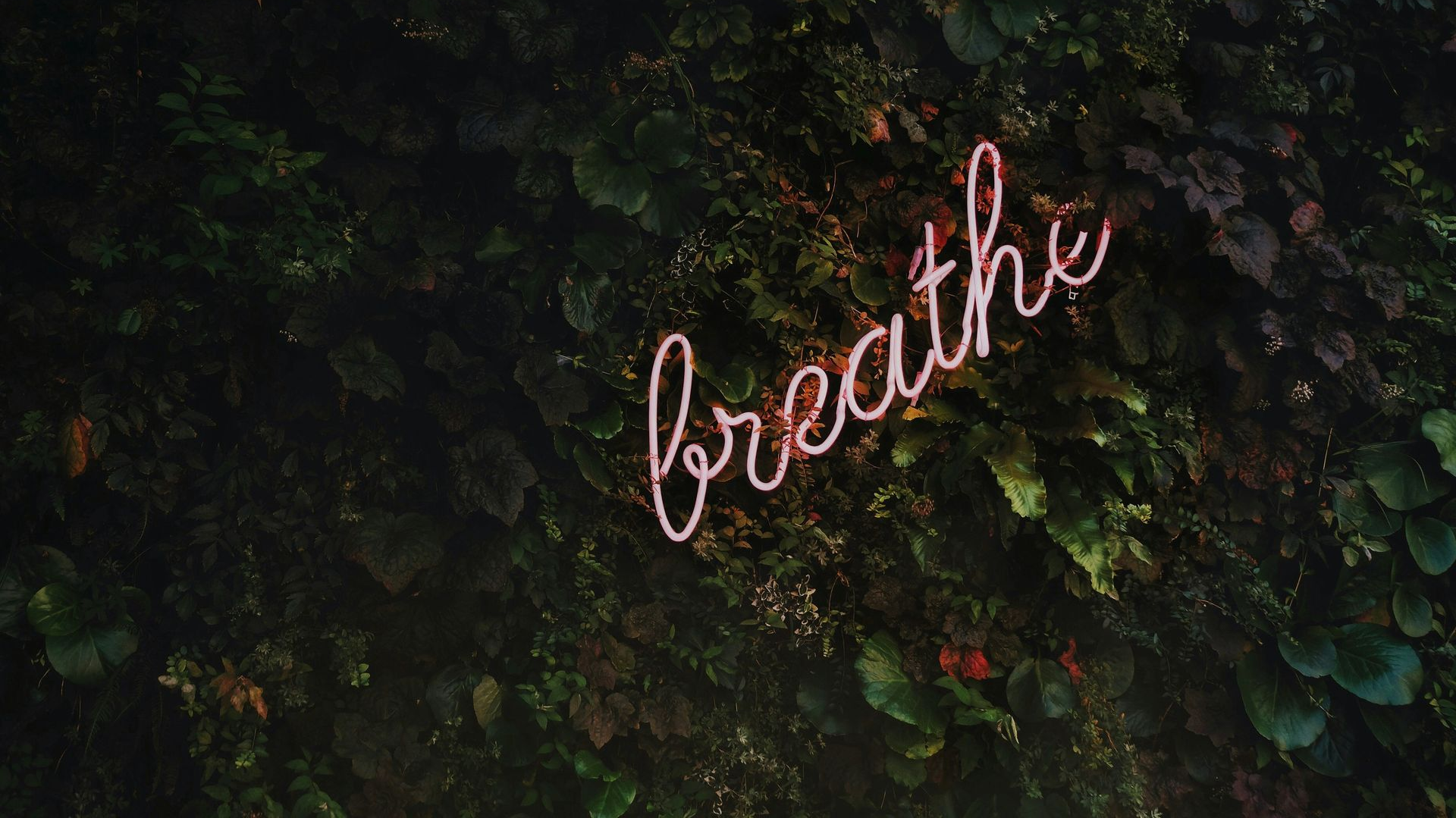 Neon sign reading 