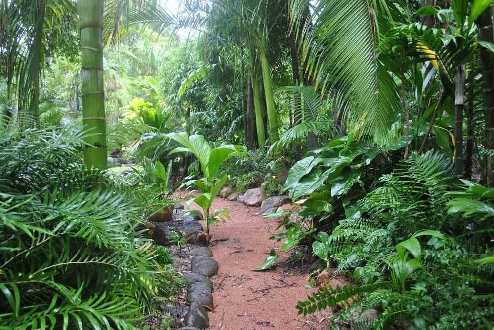 Various of plants planted on the garden — Garden Centre in Bluewater QLD