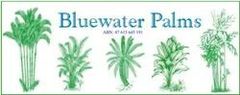 Bluewater Palms: Your Garden Centre in Townsville Bluewater Palms: Your Garden Centre in Townsville