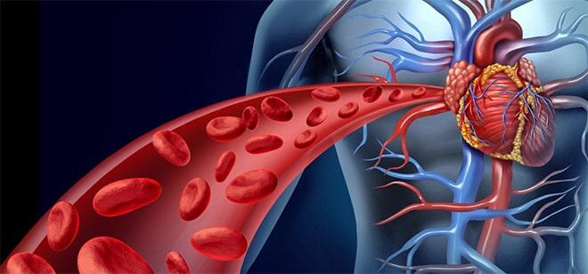 DR. LEOCADIO G. MUÑOZ BELTRAN - Problemas cardiacos