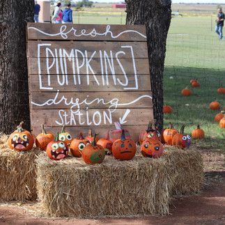 A sign that says `` fresh pumpkins drying station '' is surrounded by pumpkins on bales of hay.