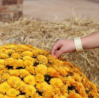 A person is touching a bunch of yellow flowers.