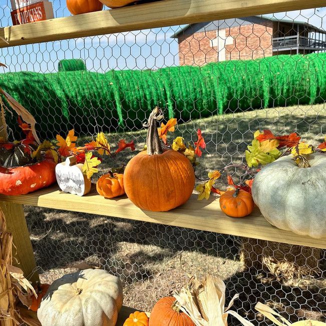 A wooden shelf with pumpkins and flowers on it