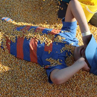 A young boy is laying in a pile of corn kernels.