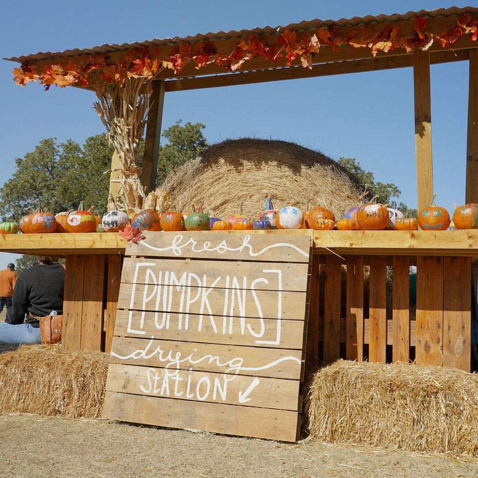 A wooden sign that says fresh pumpkins drying station