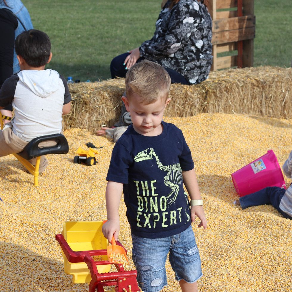 A little boy wearing a shirt that says the dino expert