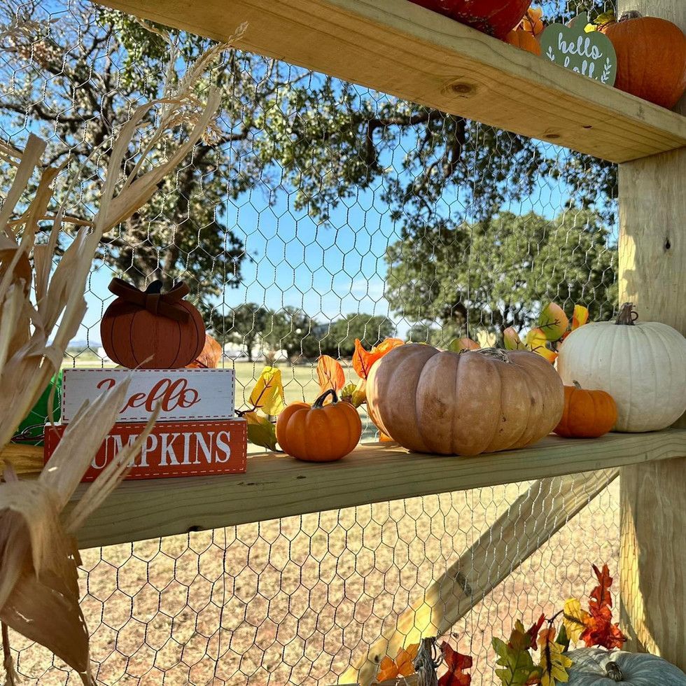 A wooden shelf with pumpkins and a sign that says hello pumpkins