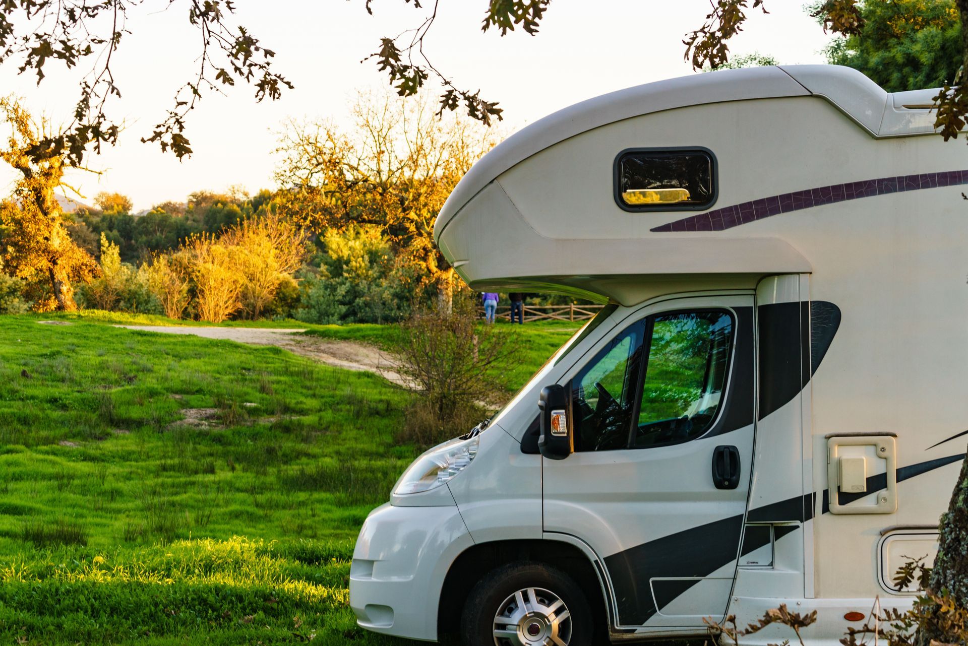 White camper van parked on a grassy field at sunset with trees in the background