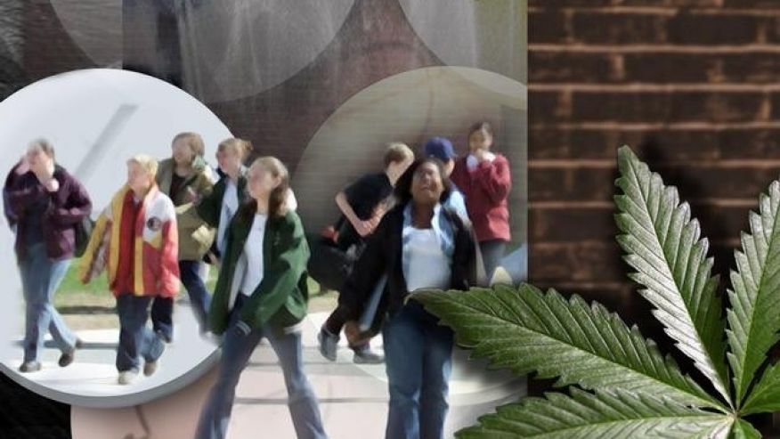 DriverDQ random drug testing services