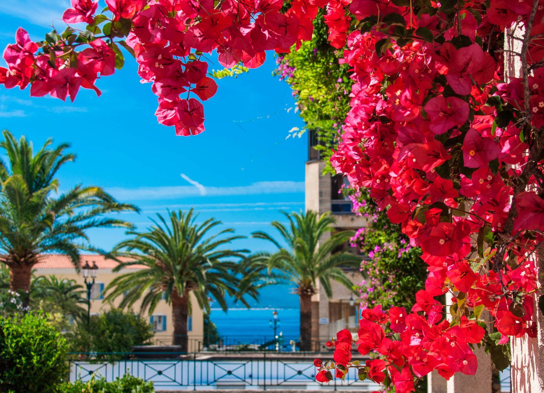 Calvi Corsica 