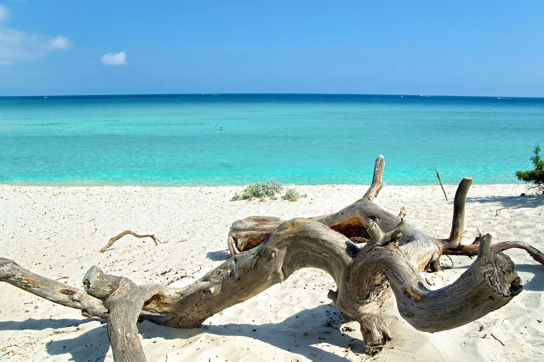 Beaches