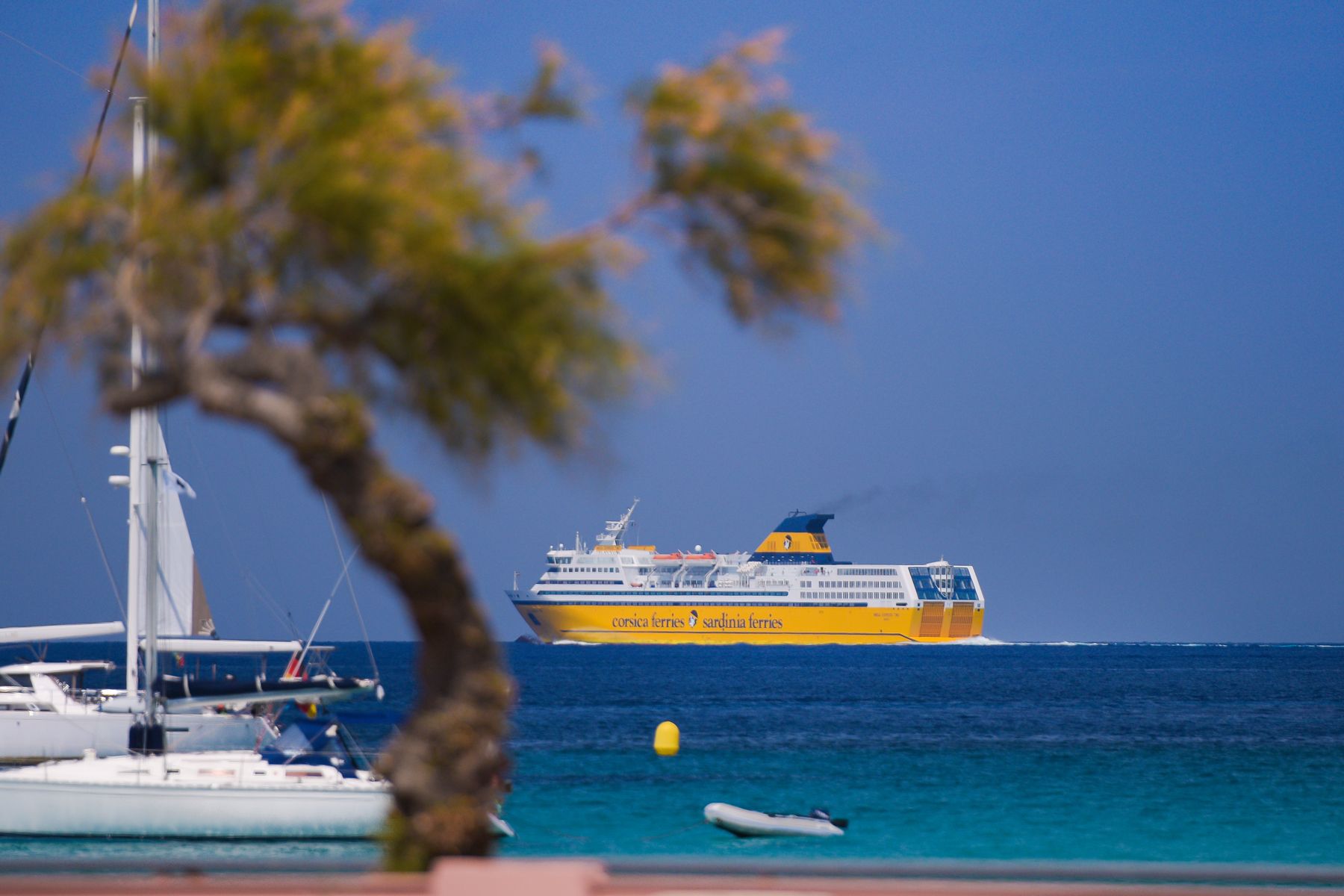Corsica by Ferry, Road or Rail