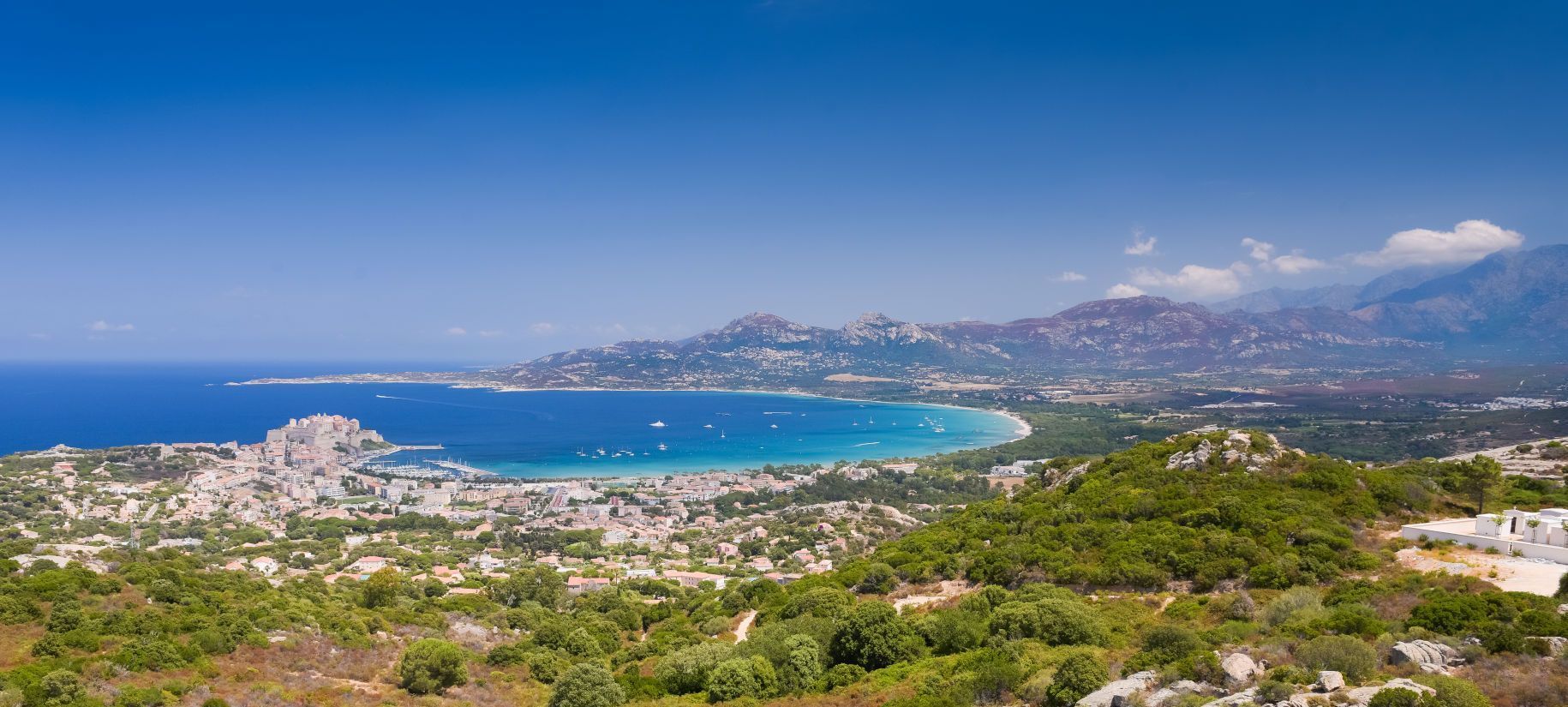 Calvi
