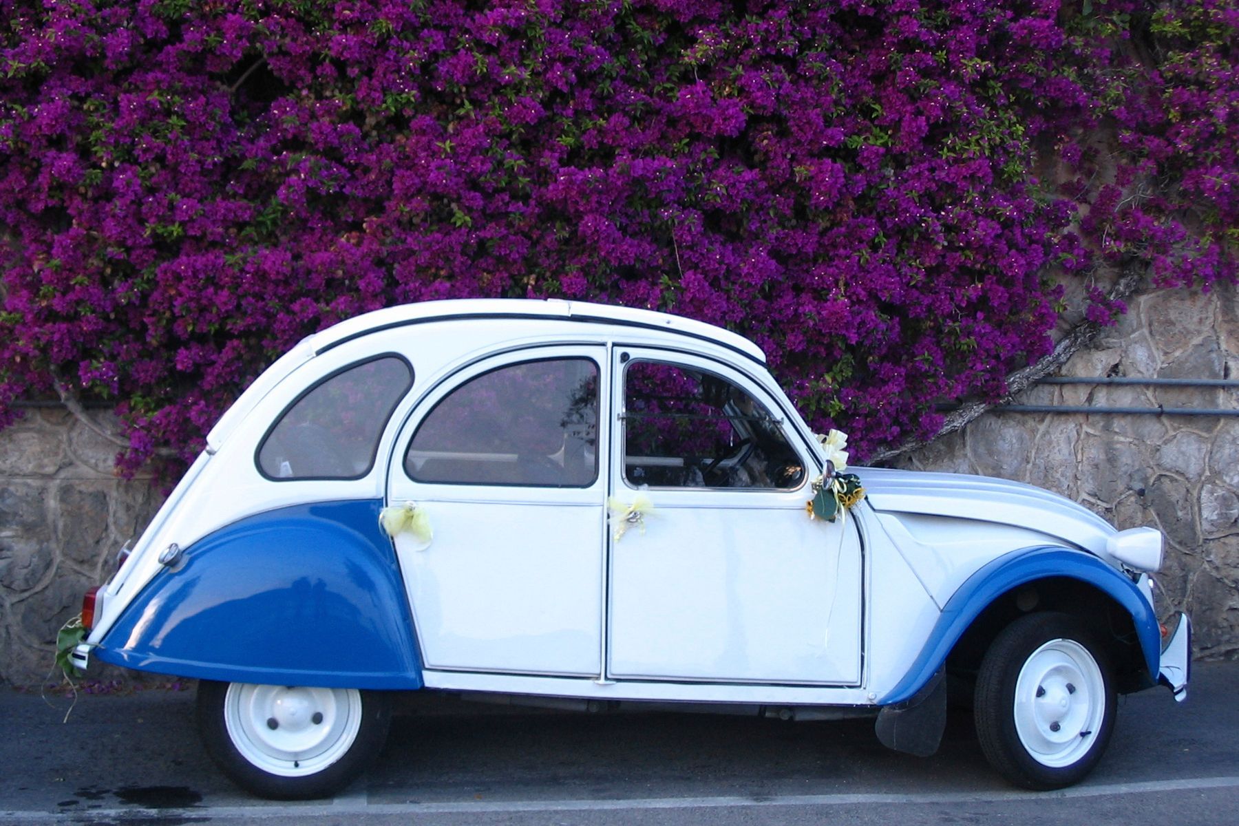 Car Hire in Corsica