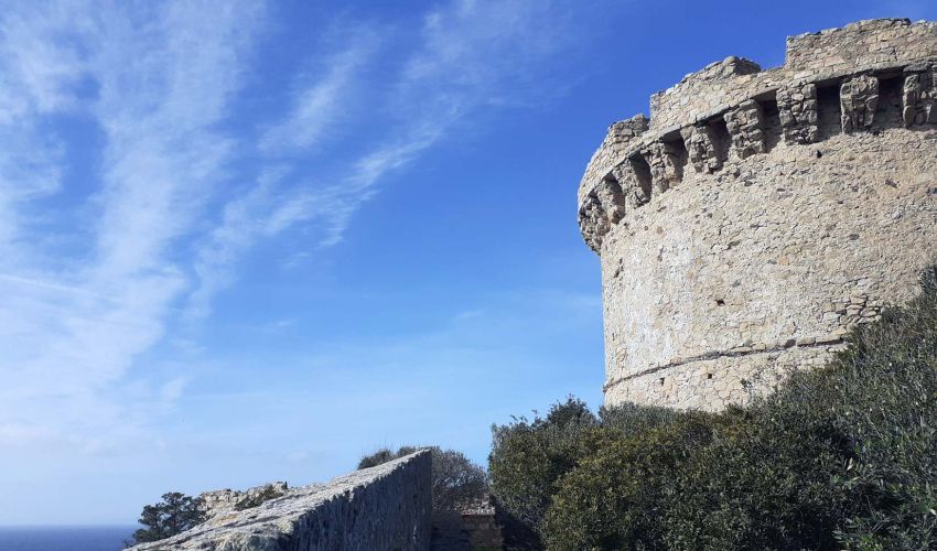 THE PISANS, GENOESE & ARAGONESE