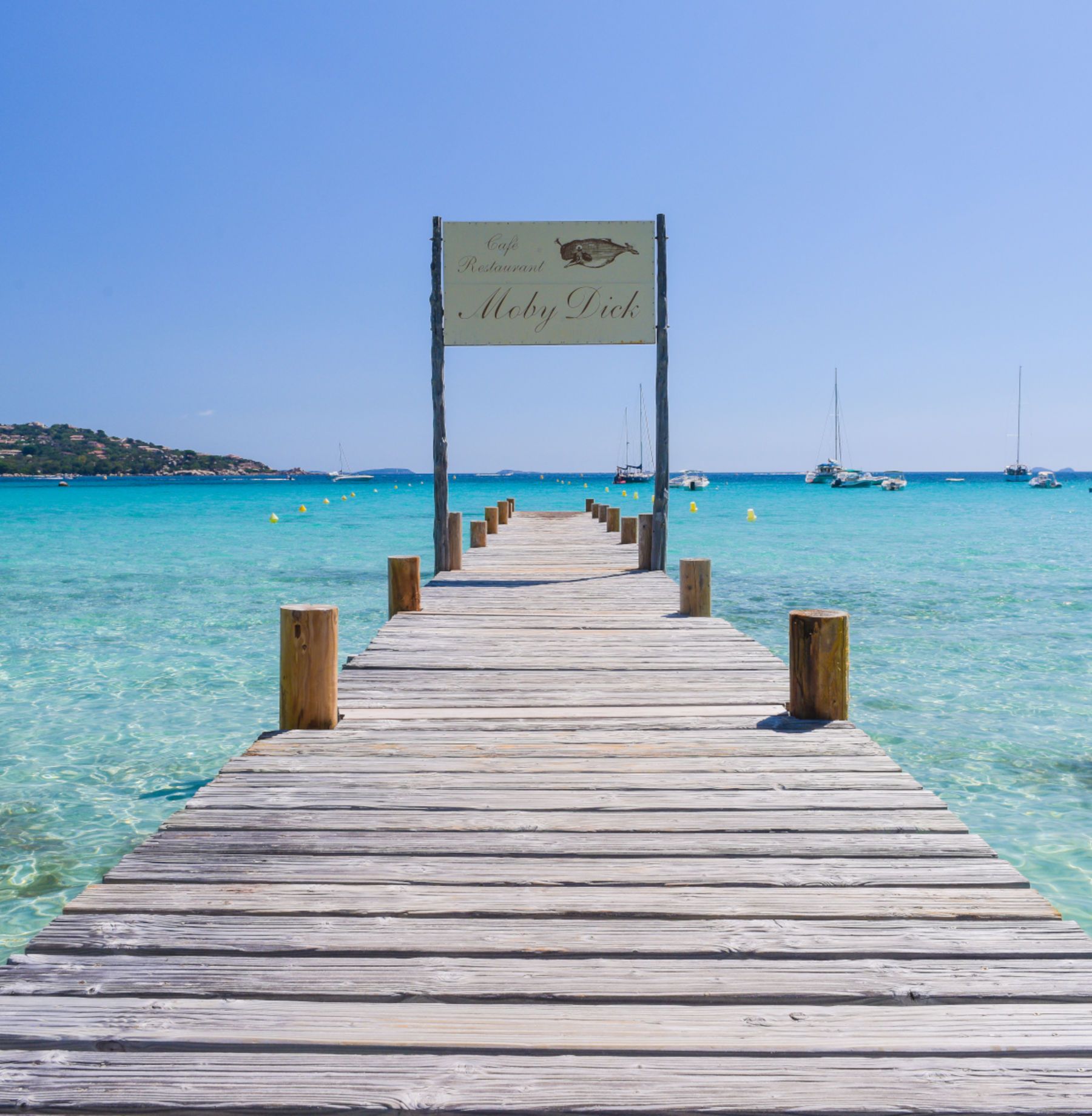 Visit Corsica