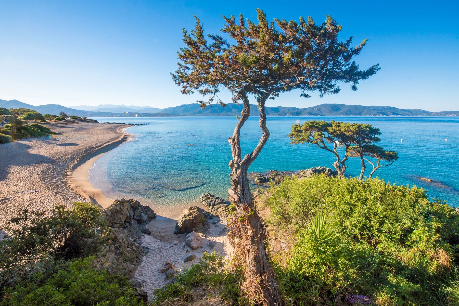 Valinco & the West Coast