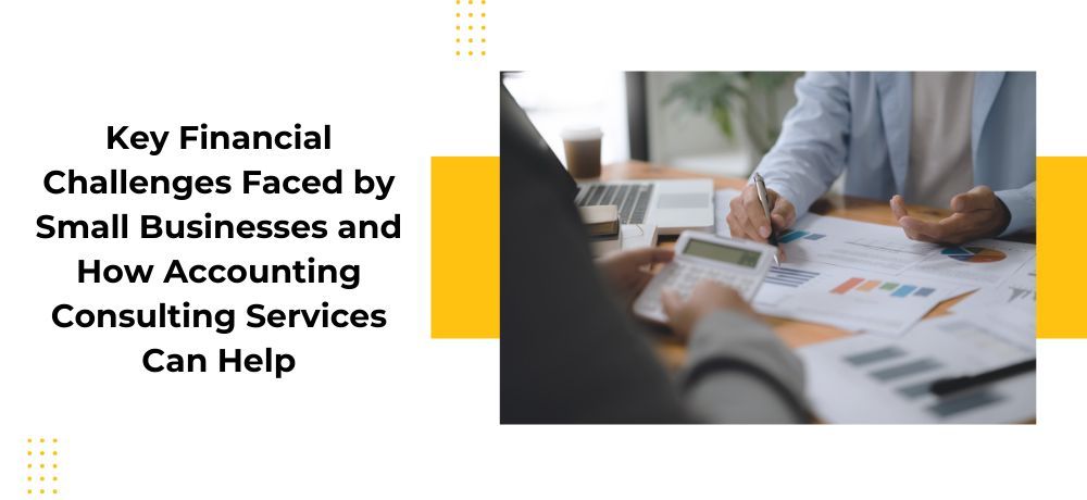 Key financial challenges faced by small businesses and how accounting consulting services can help.