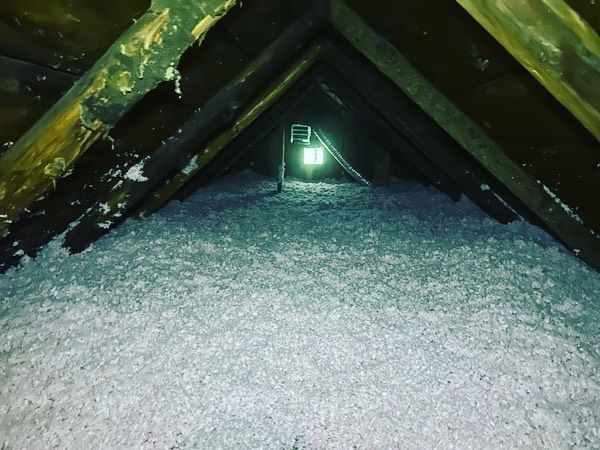 Looking up into an attic filled with white foam