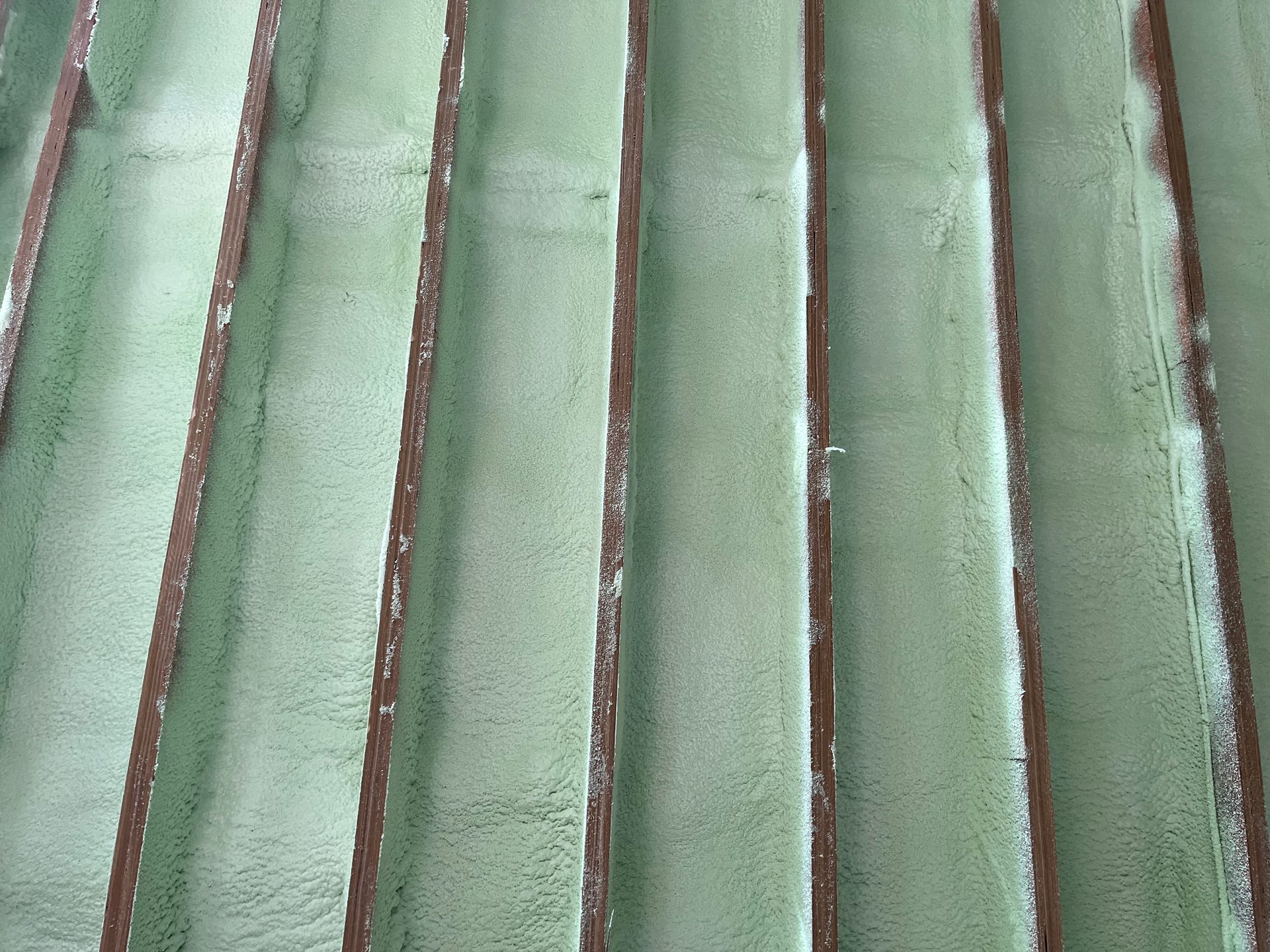 A close up of a green roof with brown lines
