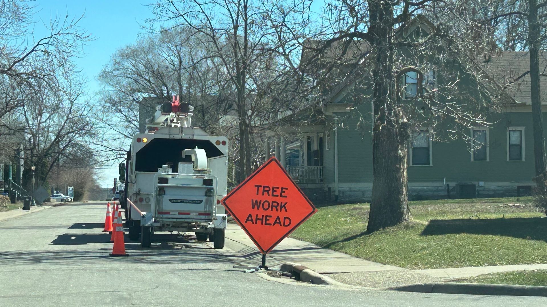 Storm Tree Removal