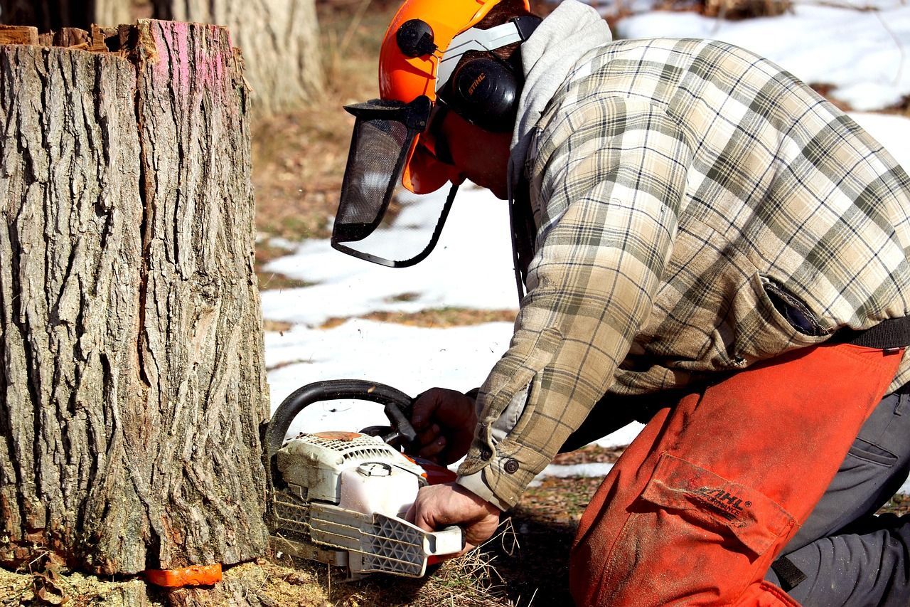 Tree removal