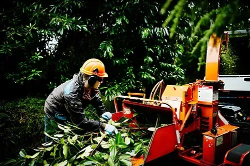Person in safety gear feeds branches into a wood chipper; forest background.