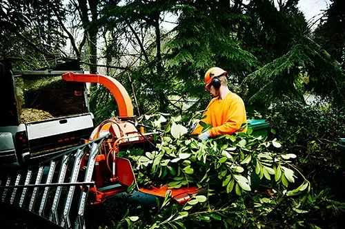 Man in orange shirt feeds branches into a wood chipper near a pickup truck in a wooded area.
