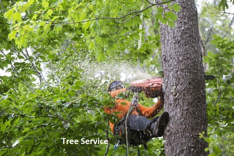 Tree service worker using chainsaw on a tree trunk, surrounded by green foliage.