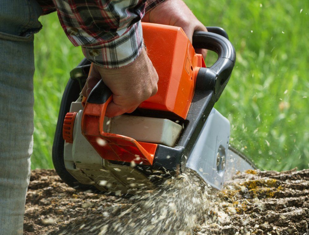 Person using an orange and gray chainsaw to cut a log, wood shavings flying, green background.