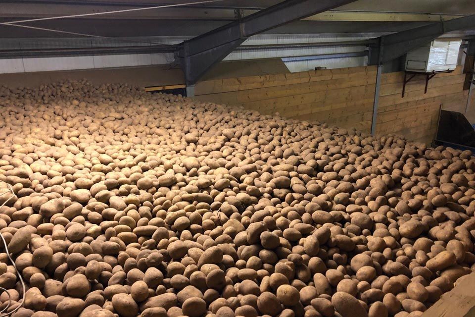 Warum unsere Bratkartoffeln so gut schmecken Warum unsere Bratkartoffeln so gut schmecken